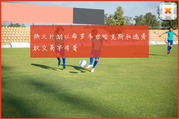 热火计划以希罗韦尔哈克斯和选秀权交易字母哥
