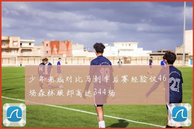 少年老成对比马刺季后赛经验仅46场森林狼却高达344场